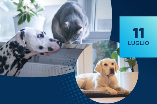 Seminario di riproduzione