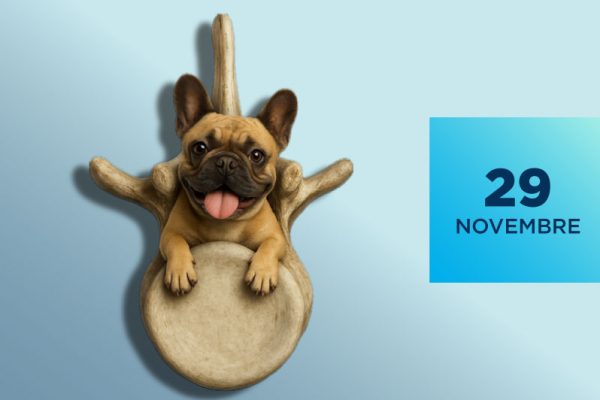 Corso di formazione sulle Emergenze Neurologiche: mielopatie acute